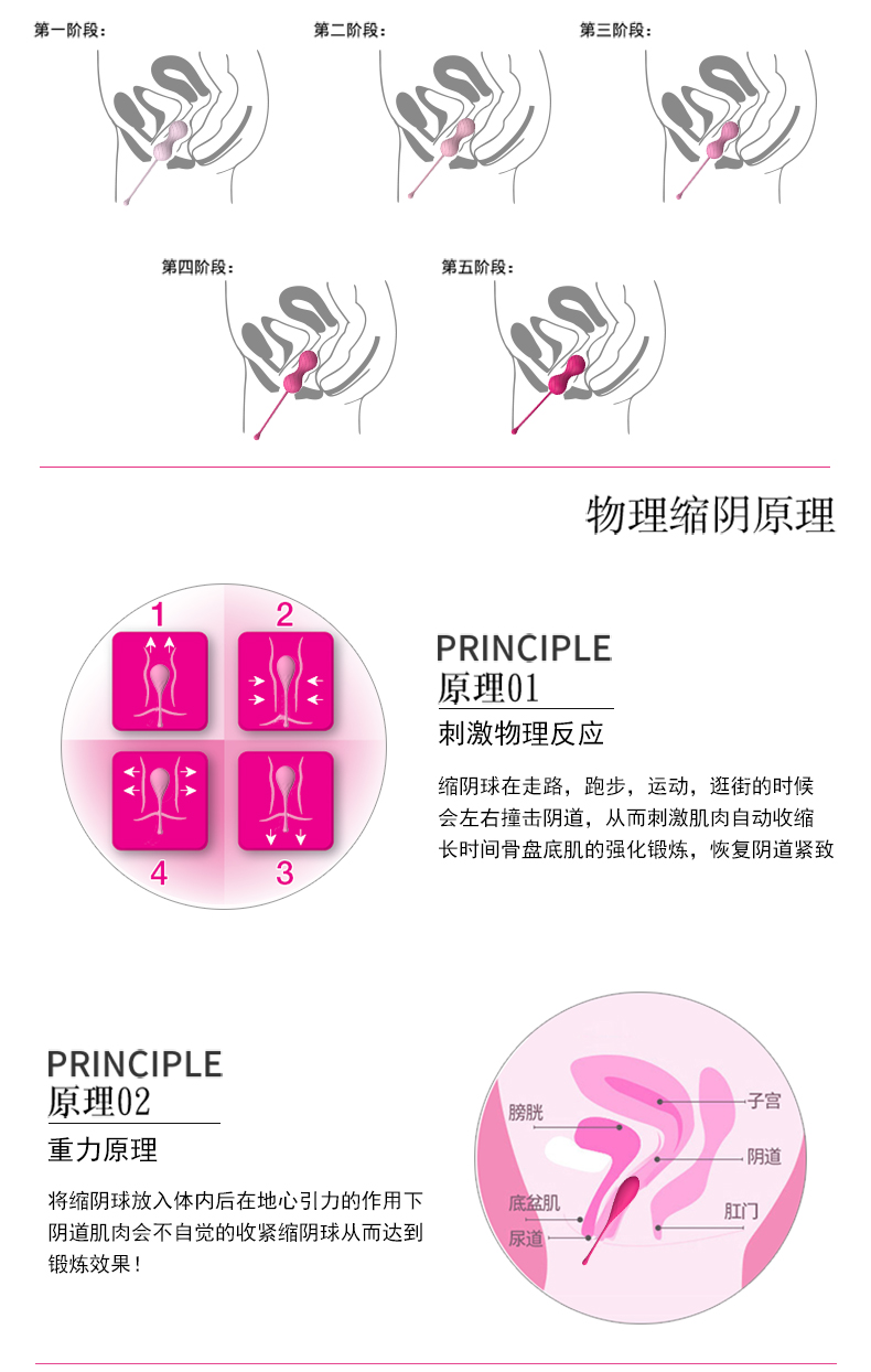 凱格爾縮陰球鍛煉原理.jpg